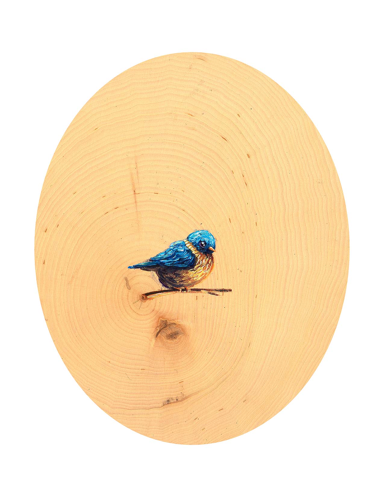 Blue Bird