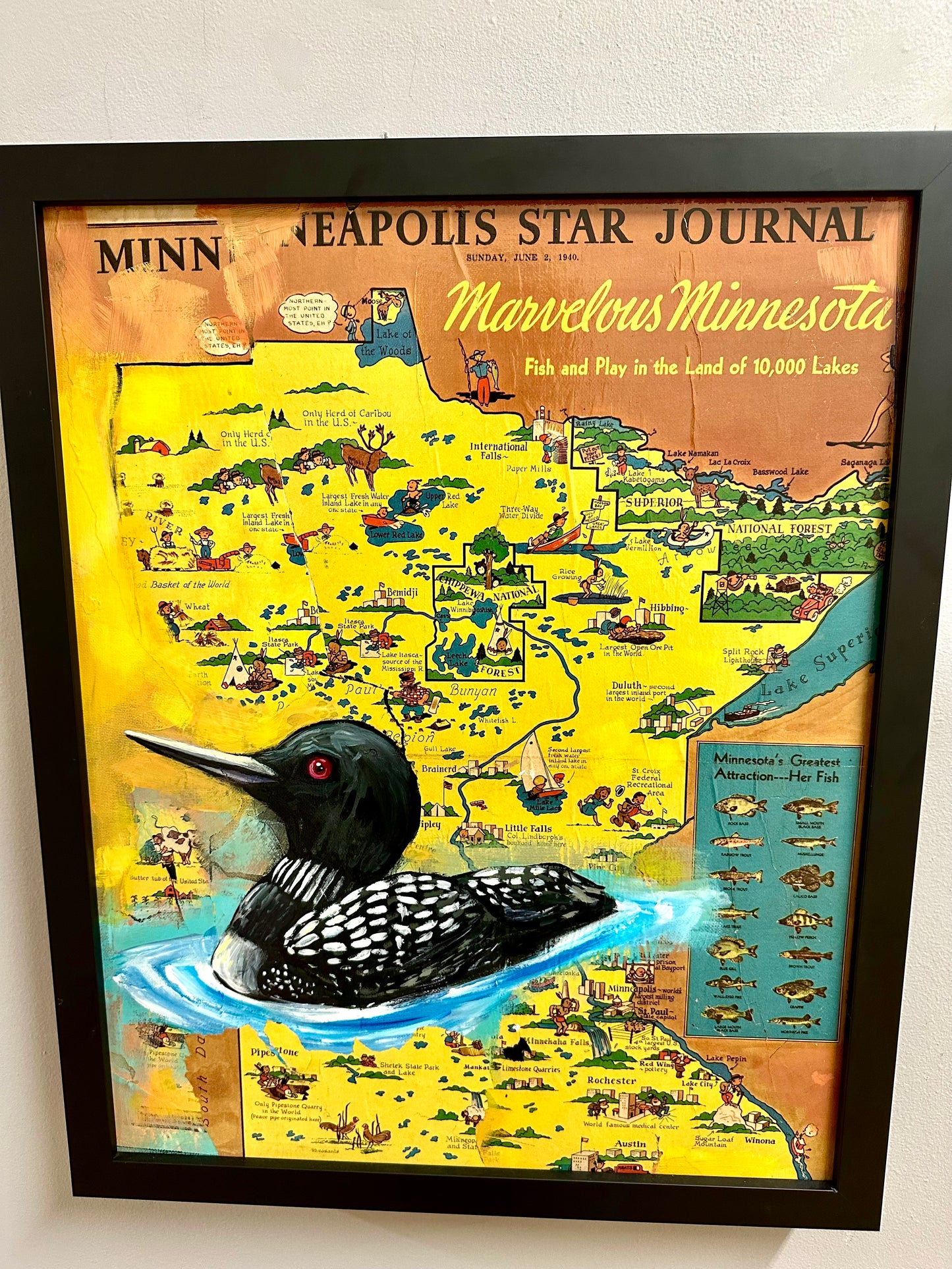 Minnesota Map
