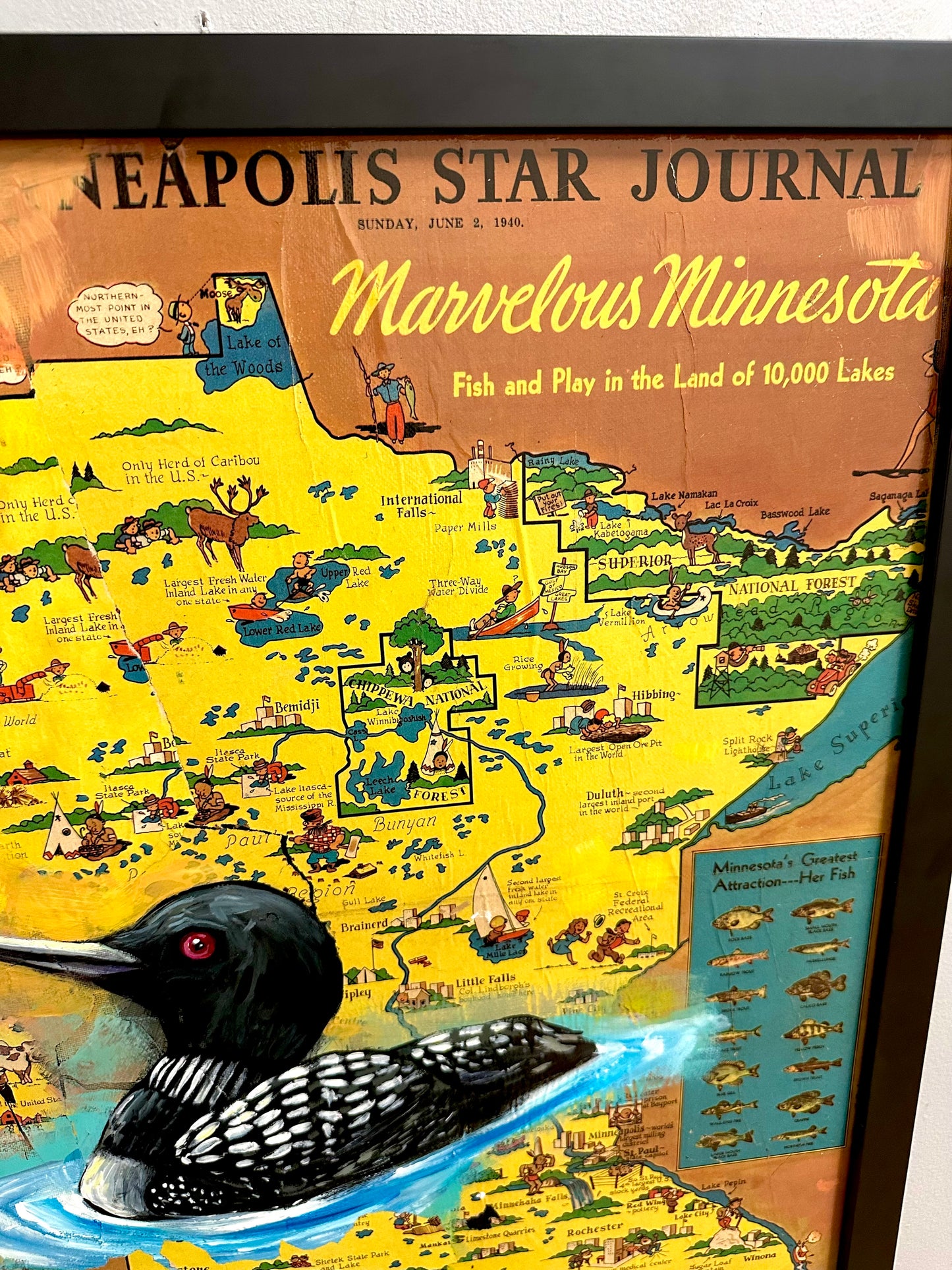 Minnesota Map