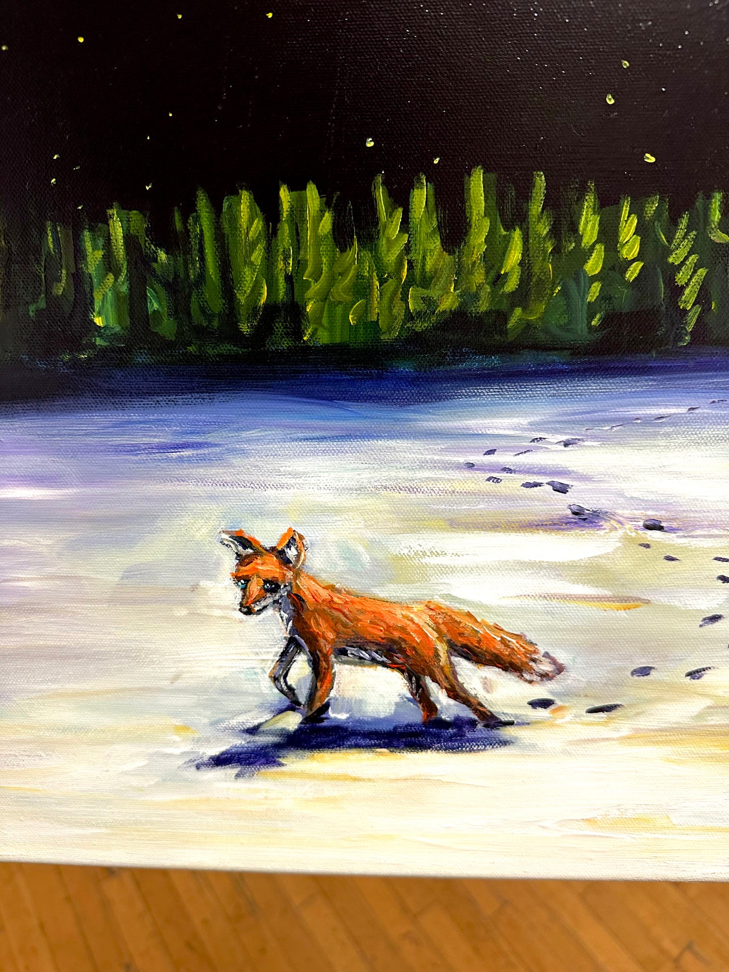 Midnight Fox