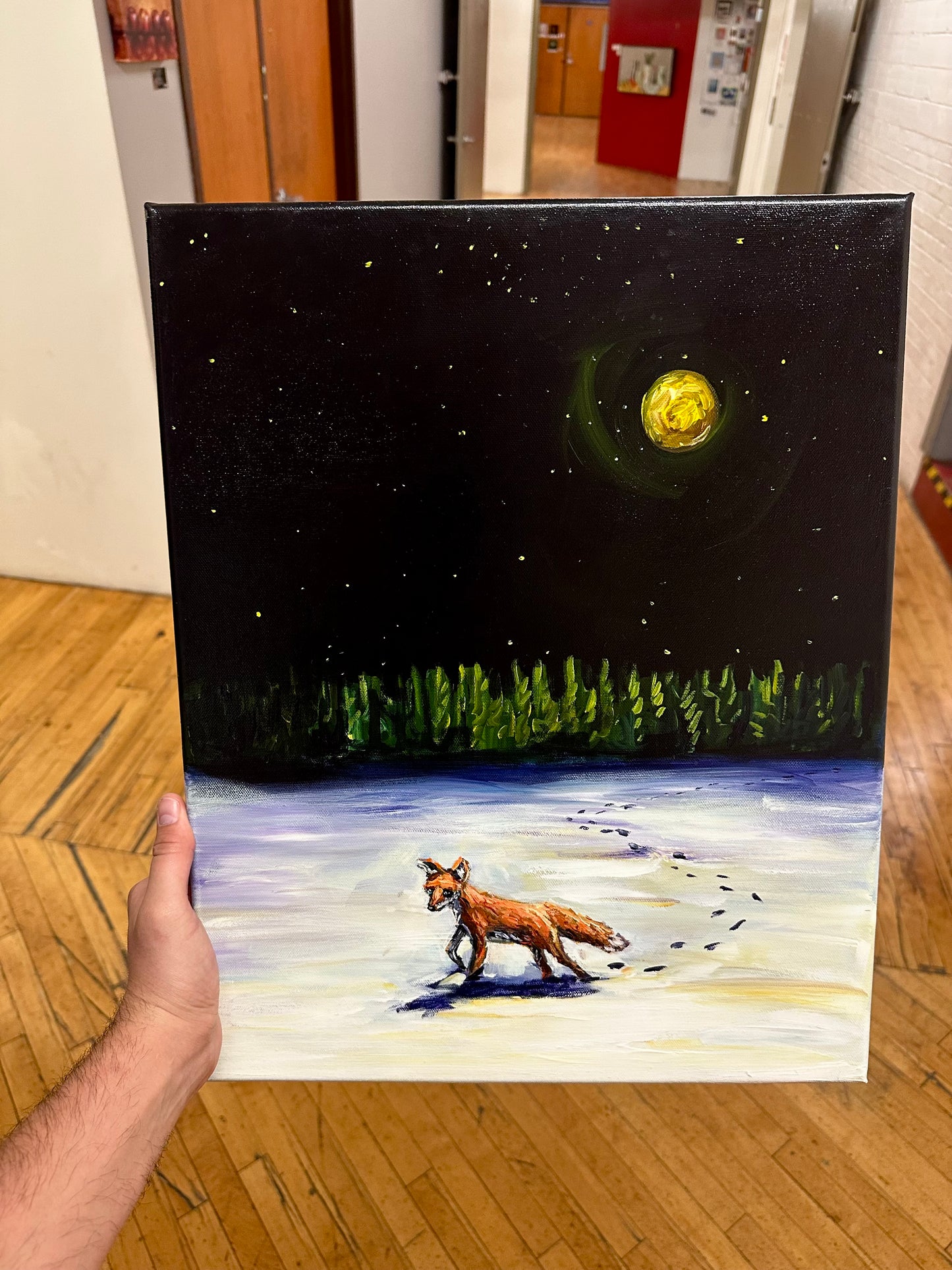 Midnight Fox
