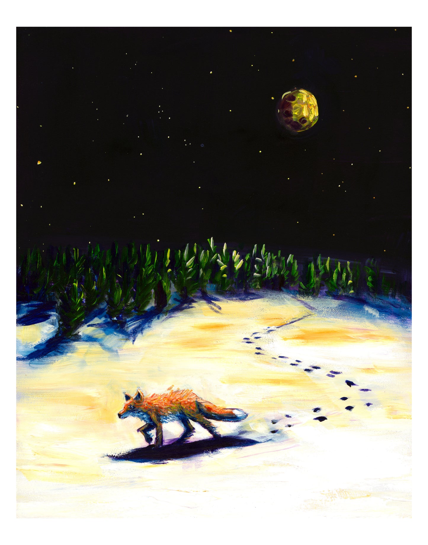 Midnight Fox