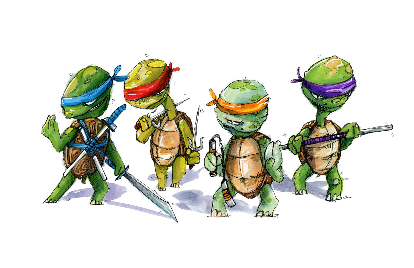 Turtle Time!