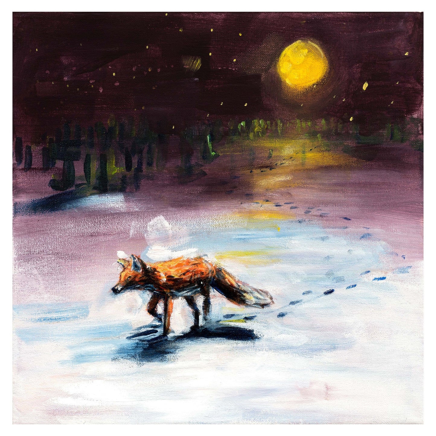 Midnight Fox