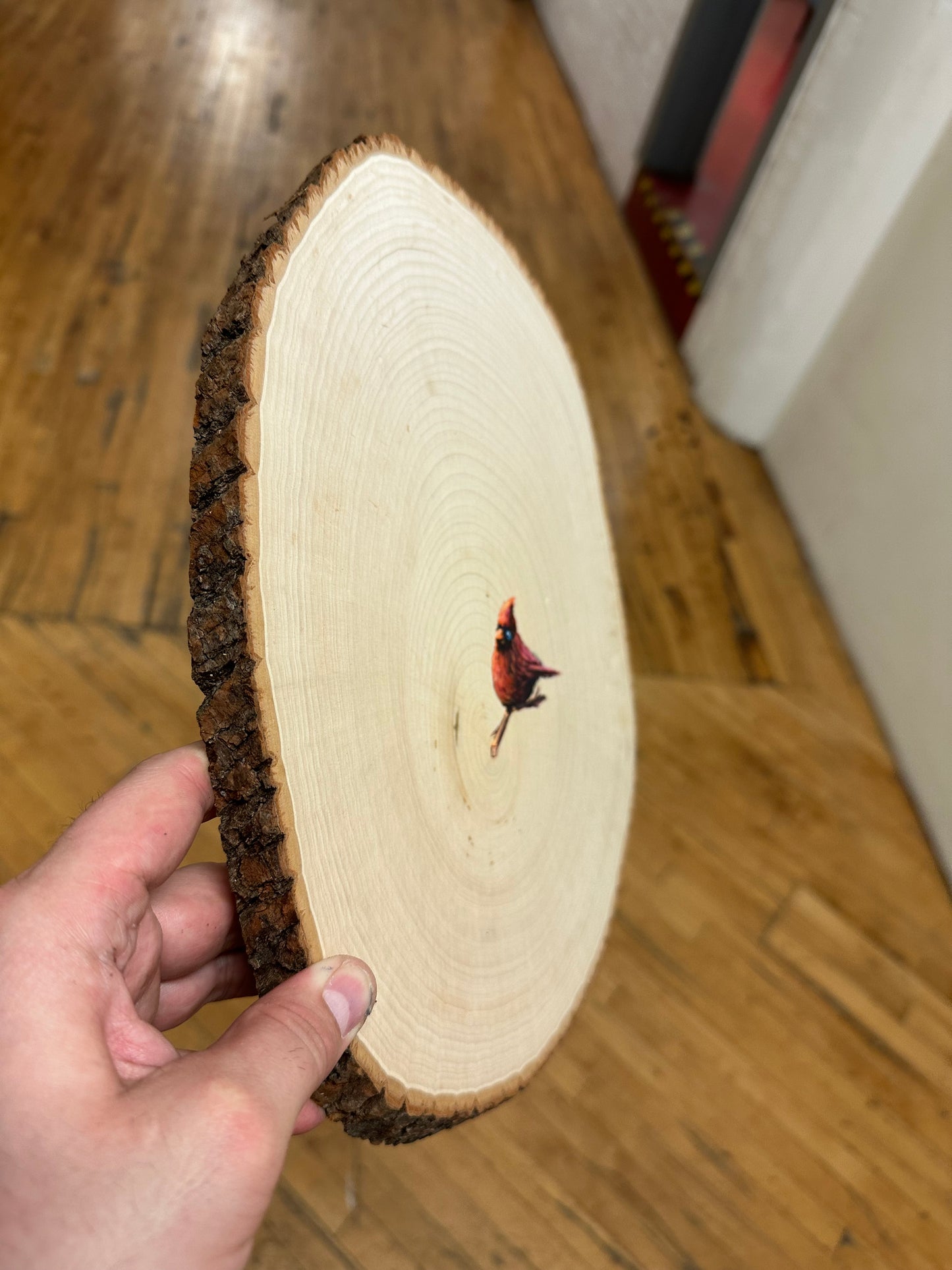 Cardinal
