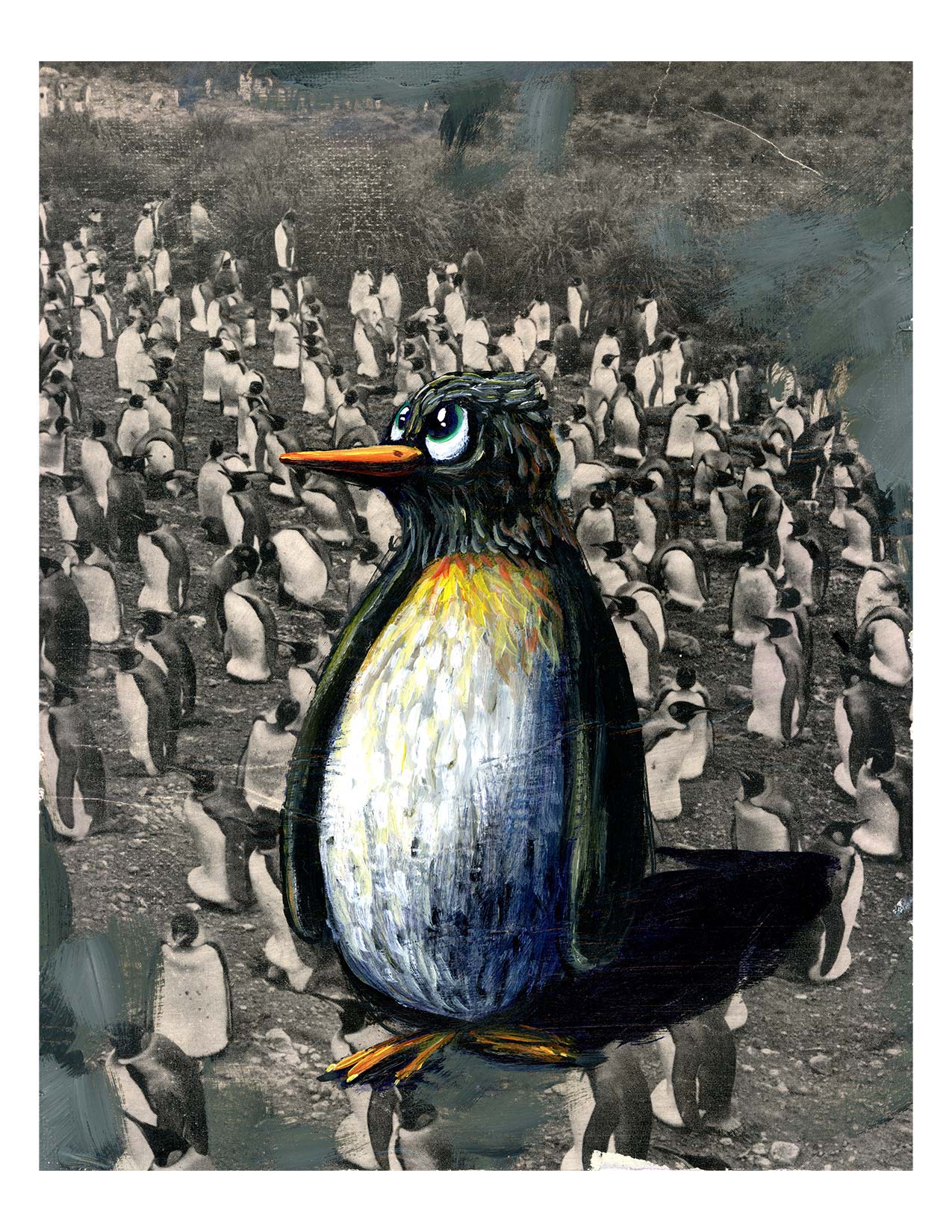 Penguin Flock